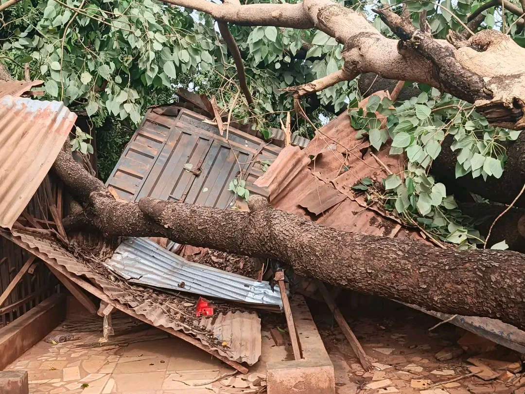 One Dead as Devastating Windstorm Wreaks Havoc Across Obi Communities in Benue