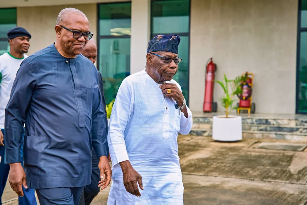 Peter Obi meets Obasanjo