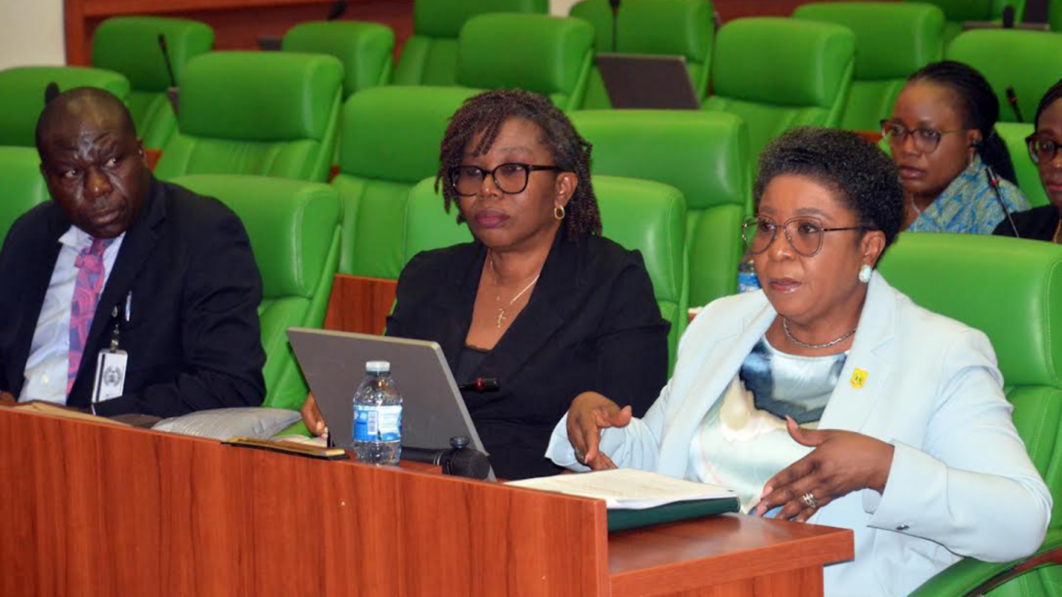 PFIPC scandal: More concerns as HoS admits lapses in vetting process