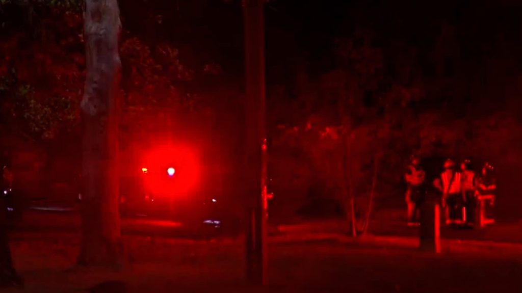 Emergency responders at the site of a plane crash in a wooded area in Wisconsin.