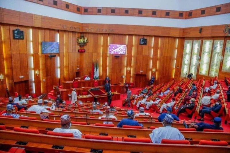 The Nigerian Senate chamber during a plenary session.